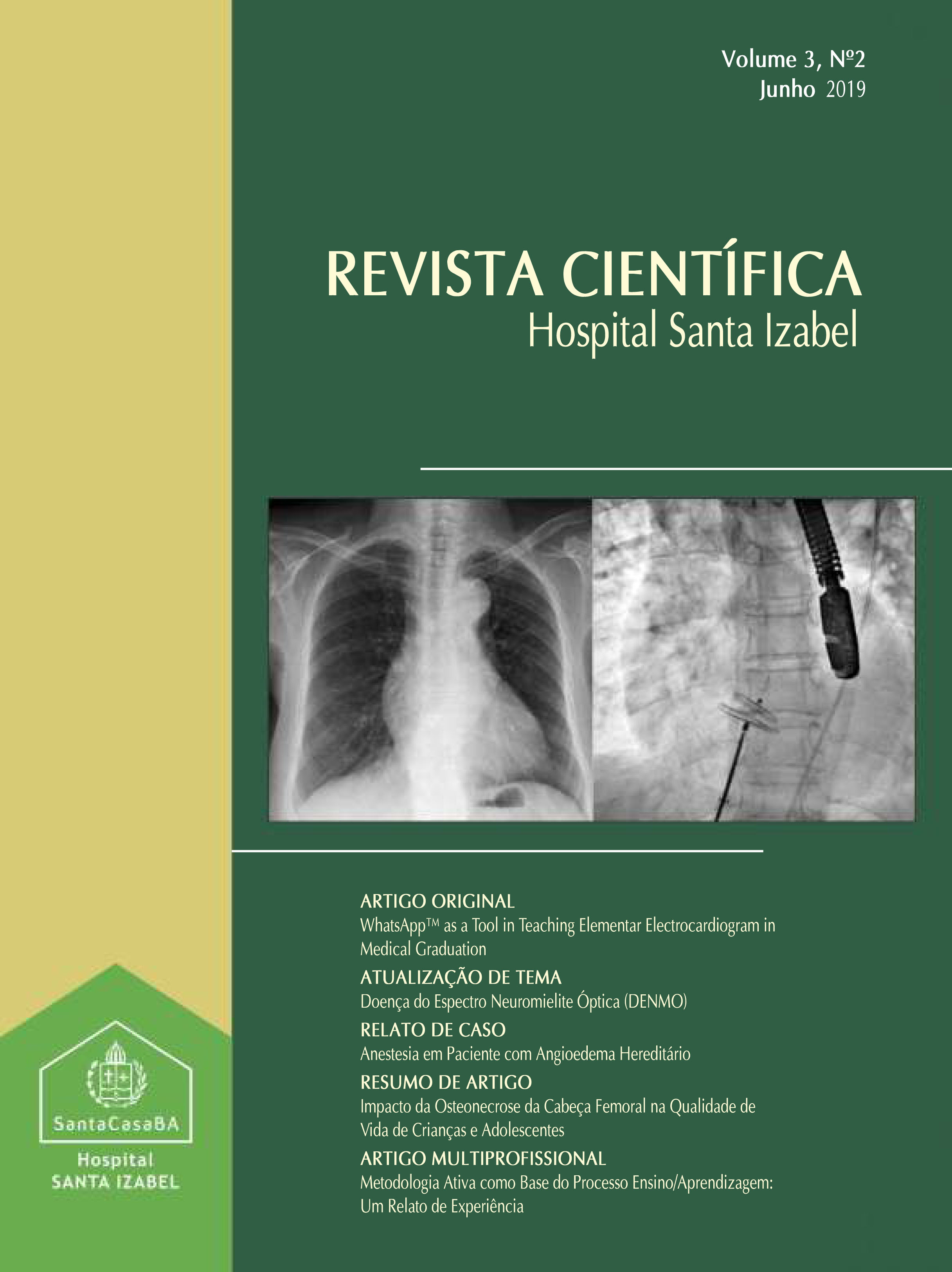 					Visualizar v. 3 n. 2 (2019): Revista Científica Hospital Santa Izabel
				