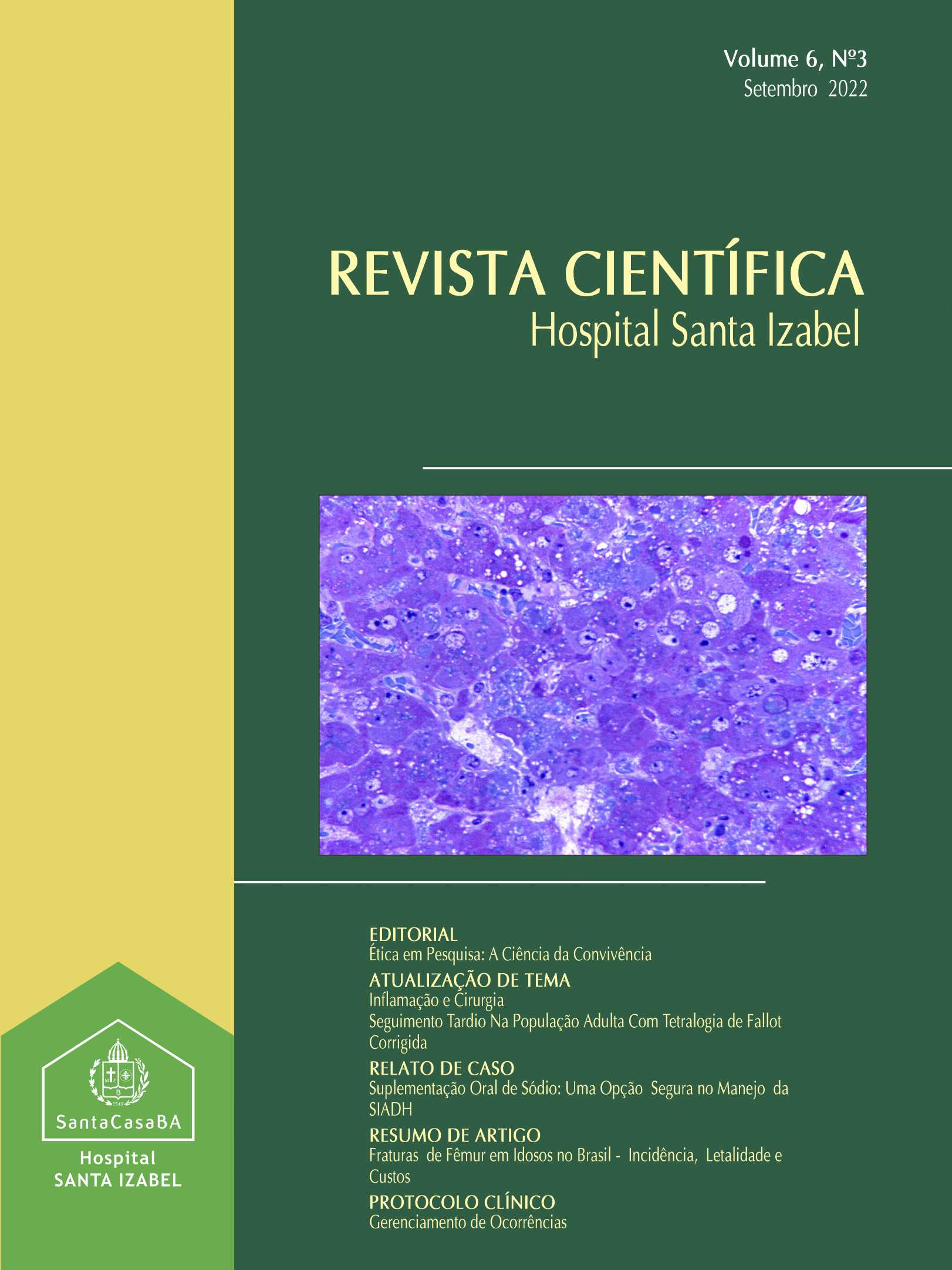 					Visualizar v. 6 n. 3 (2022): Revista Científica Hospital Santa Izabel
				
