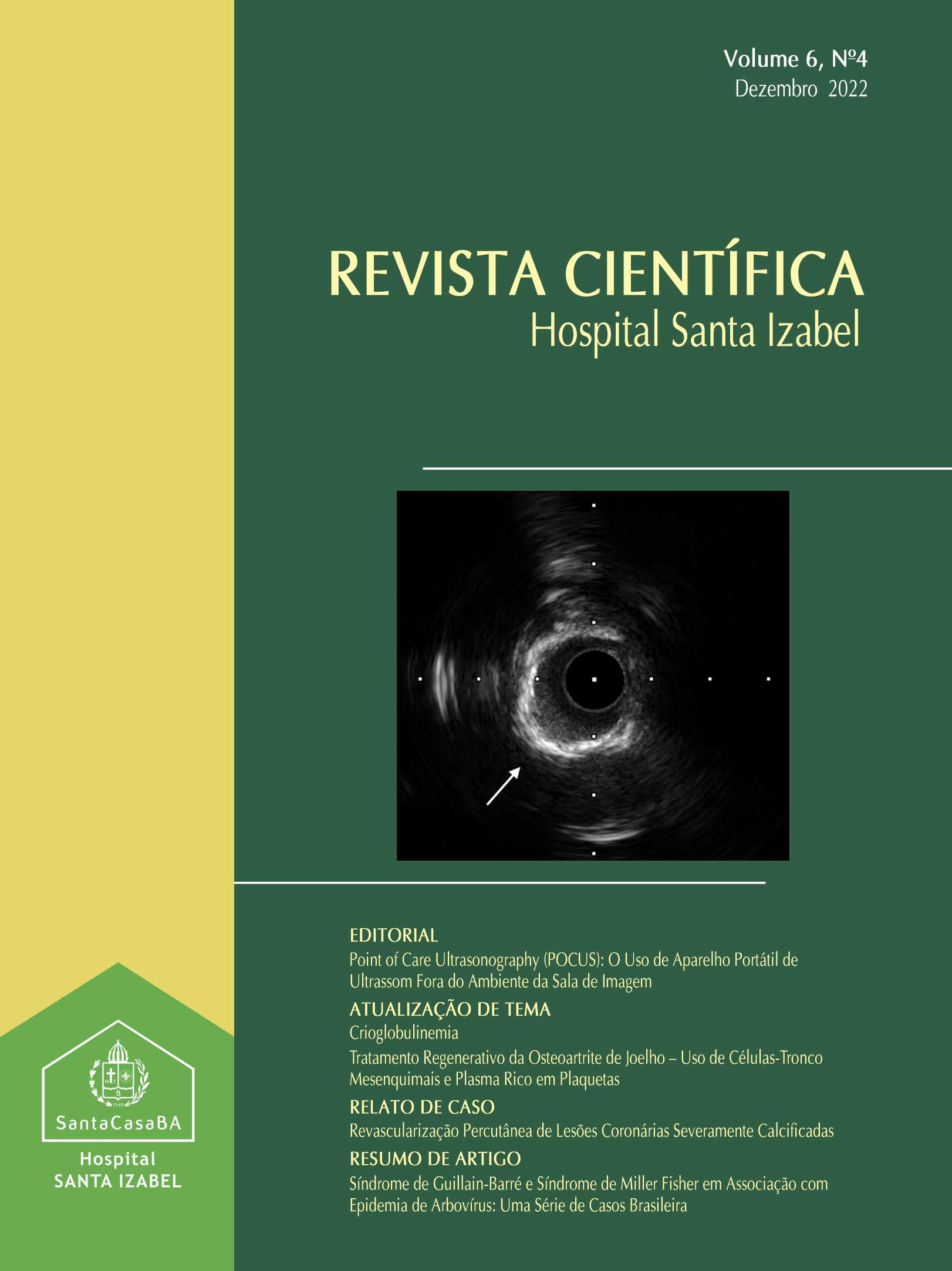 					Visualizar v. 6 n. 4 (2022): Revista Científica Hospital Santa Izabel
				