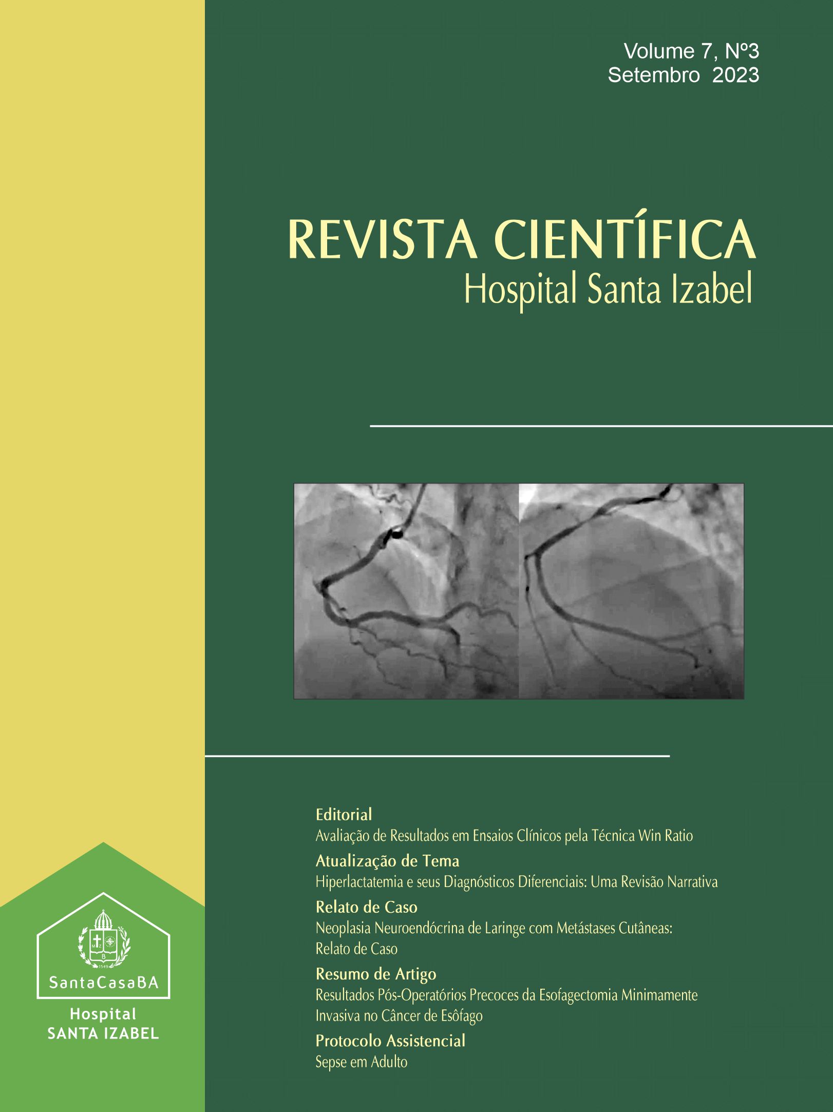 					View Vol. 7 No. 3 (2023): Revista Científica Hospital Santa Izabel
				