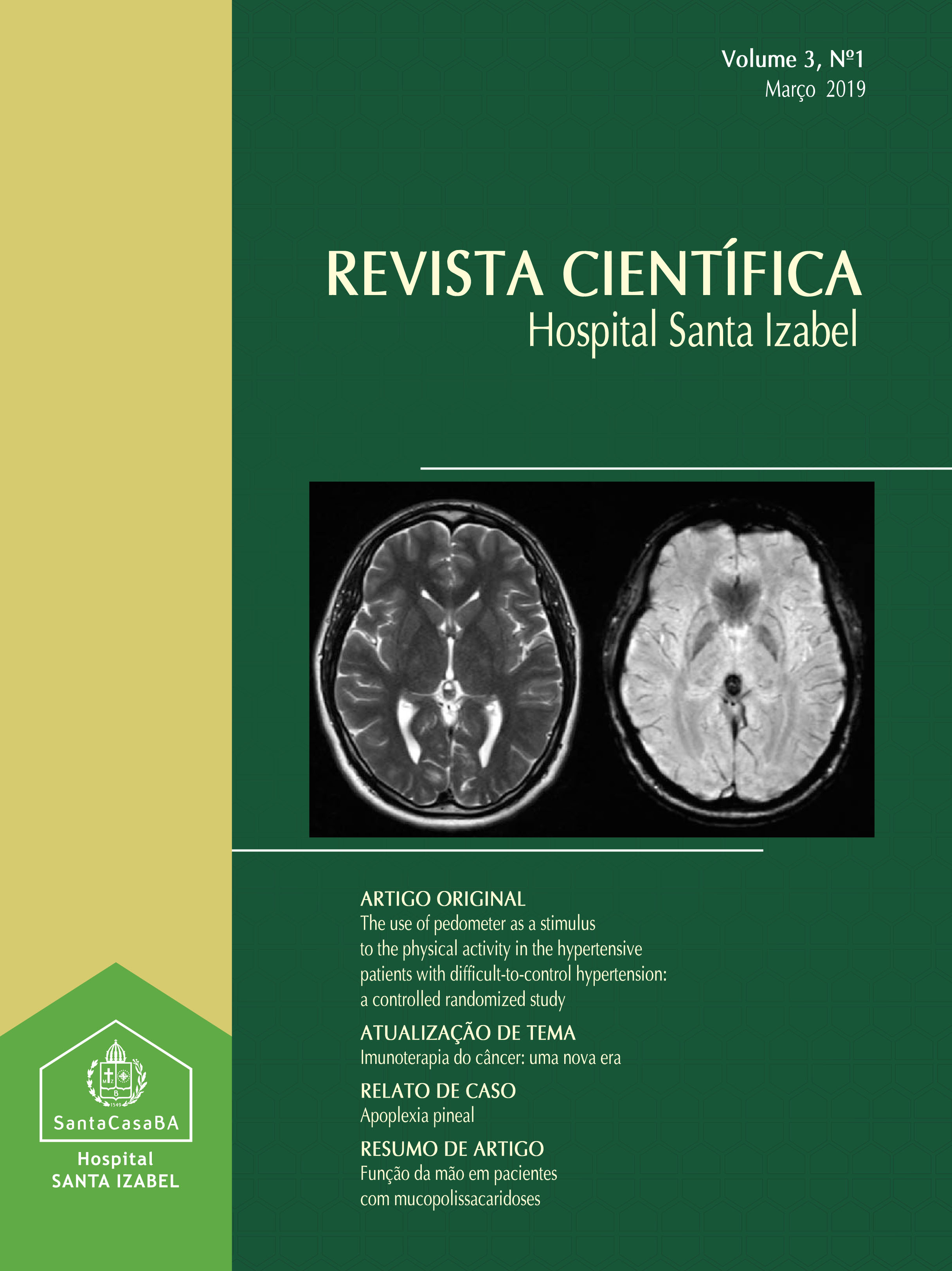 					Visualizar v. 3 n. 1 (2019): Revista Científica Hospital Santa Izabel
				