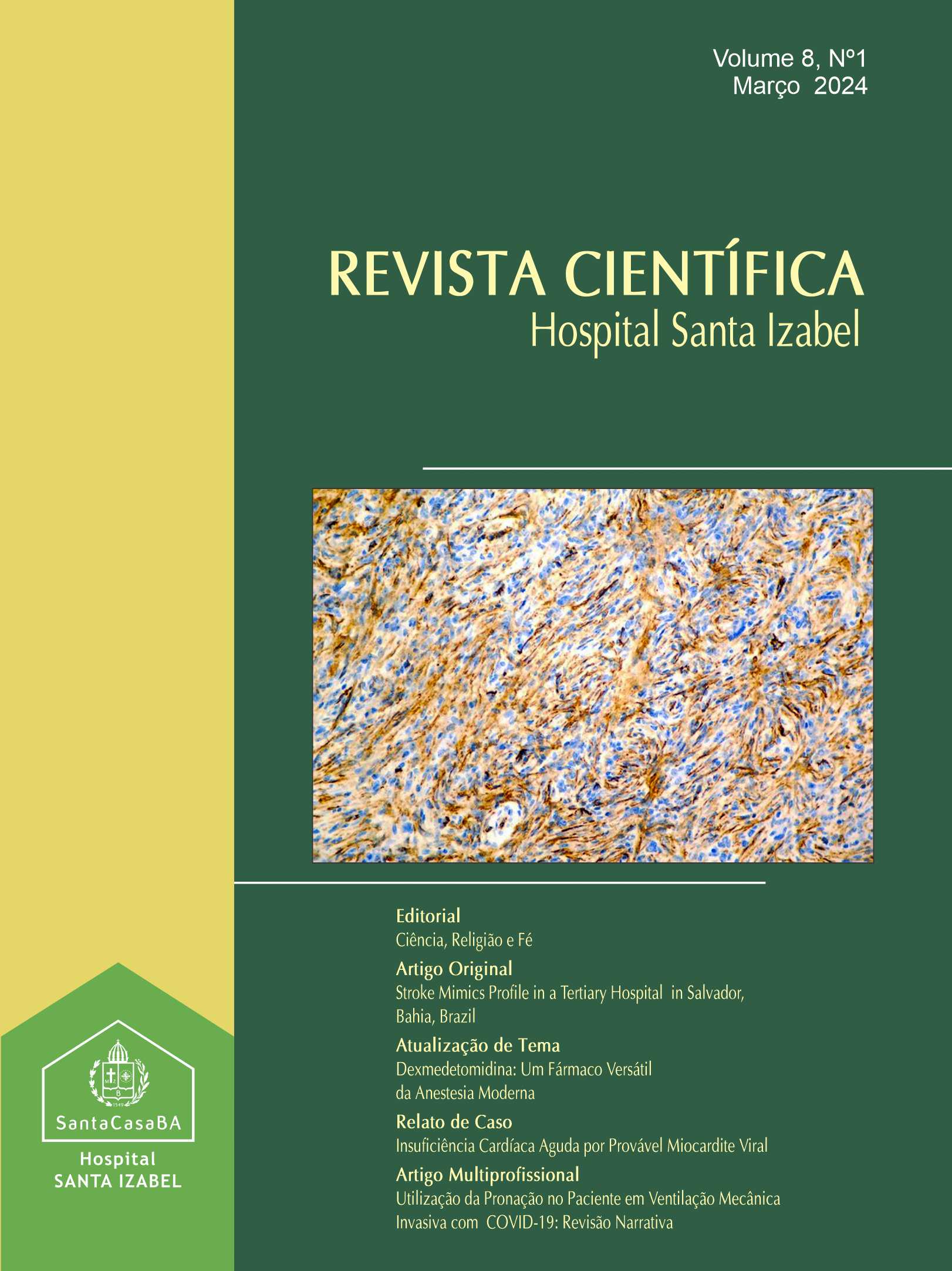					View Vol. 8 No. 1 (2024): Revista Científica Hospital Santa Izabel
				
