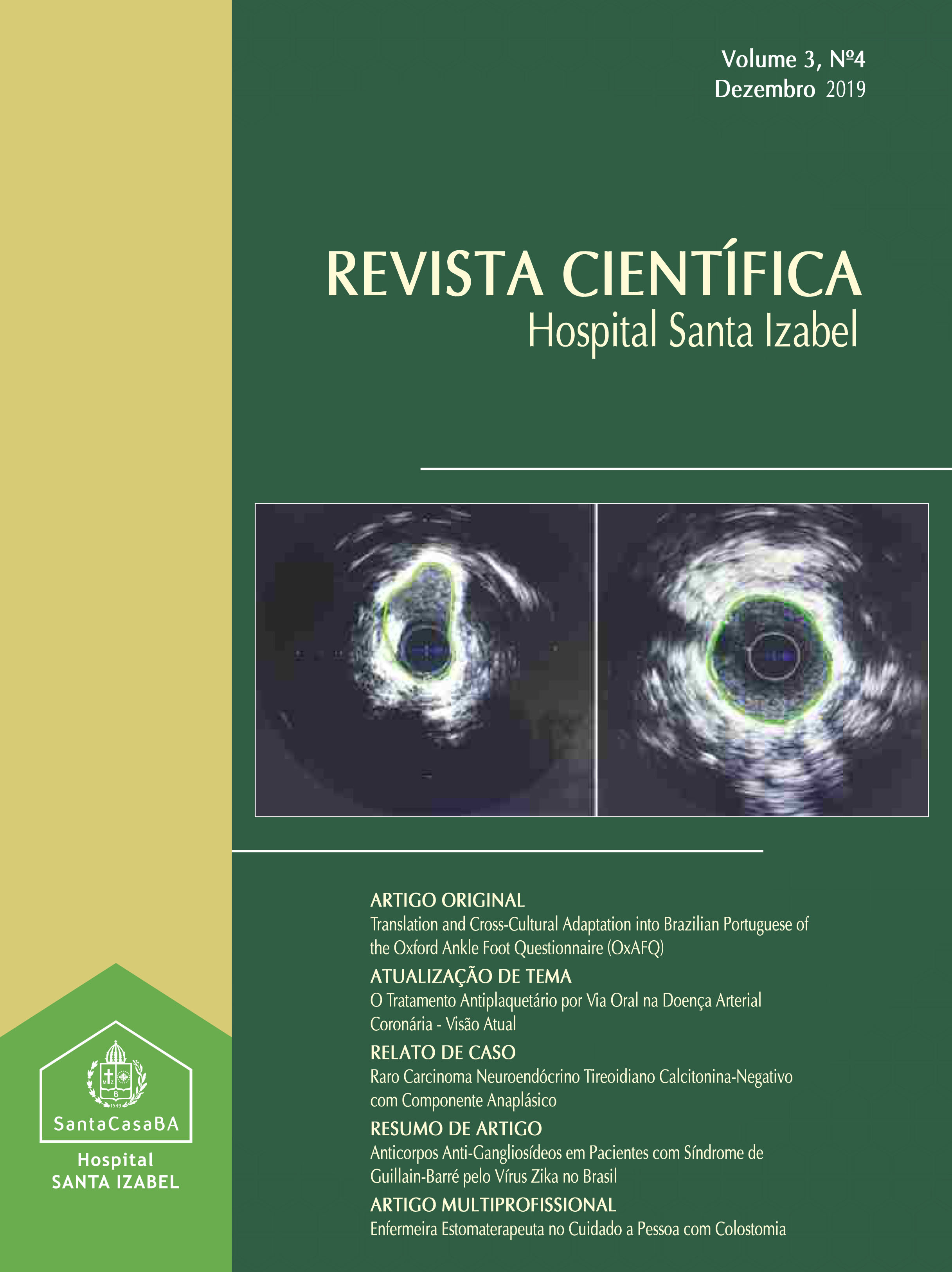 					Visualizar v. 3 n. 4 (2019): Revista Científica Hospital Santa Izabel
				