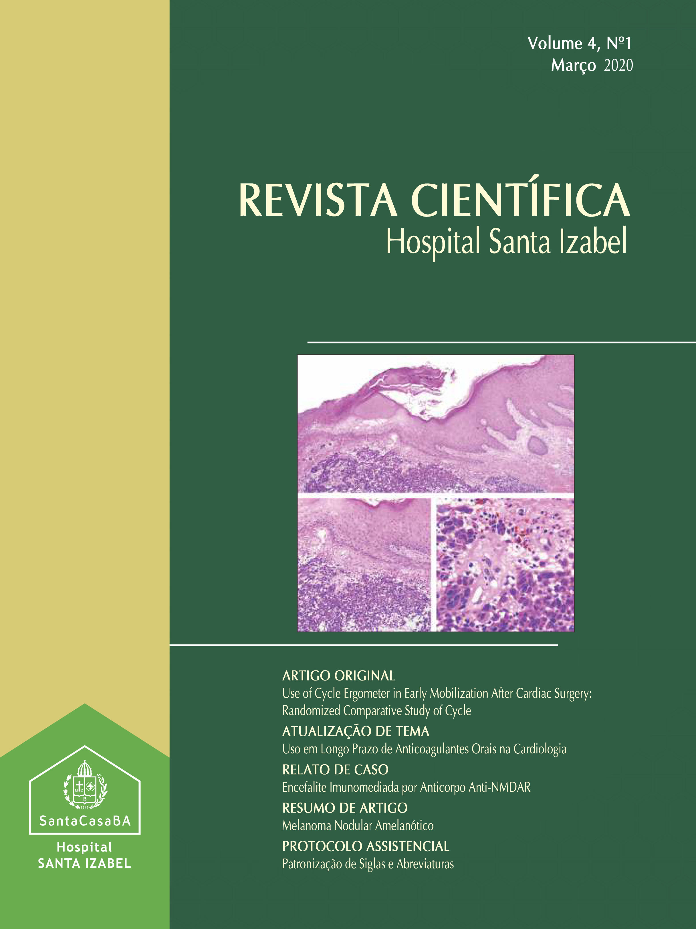 					Visualizar v. 4 n. 1 (2020): Revista Científica Hospital Santa Izabel
				