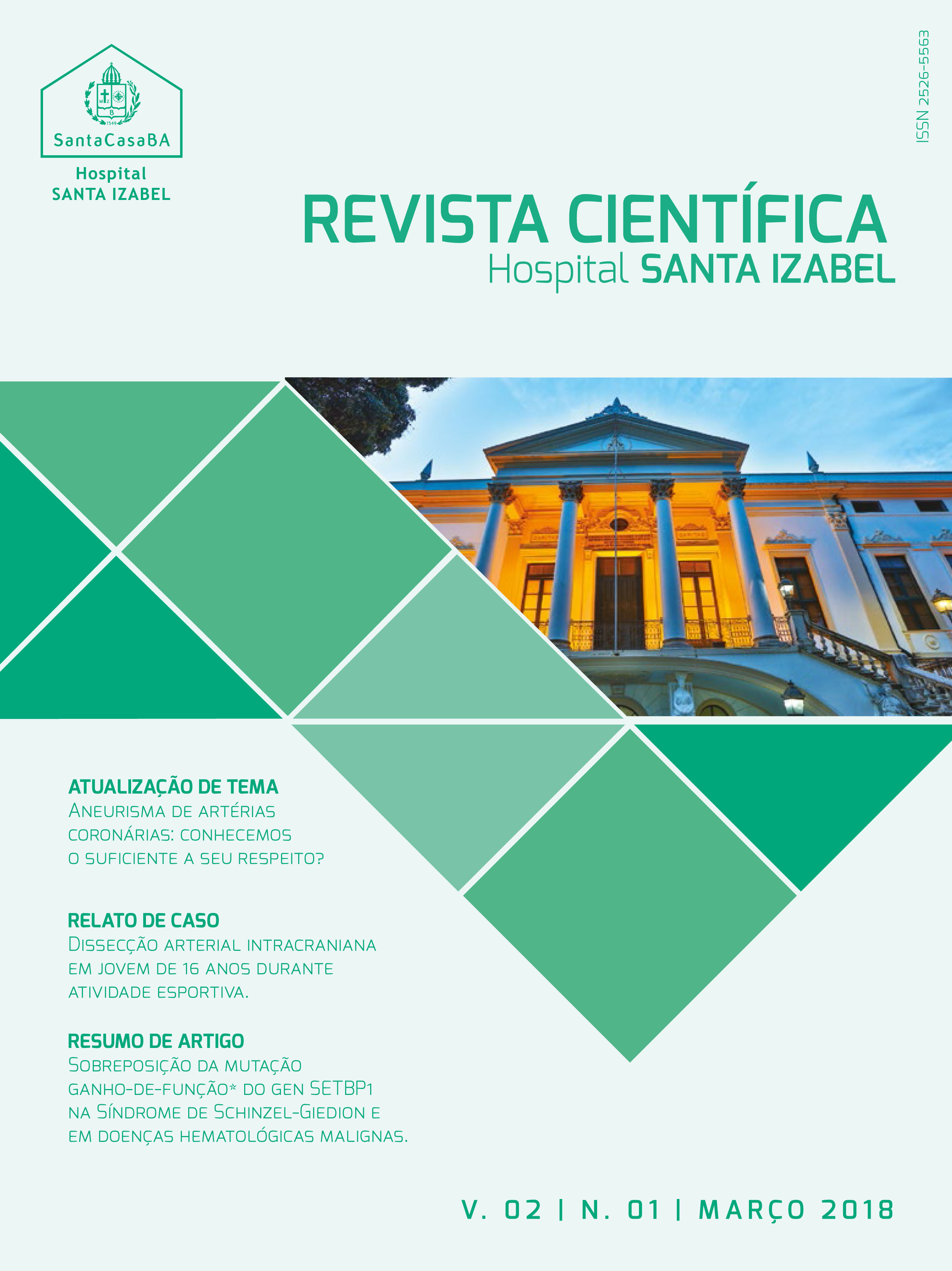 					Visualizar v. 2 n. 1 (2018): Revista Científica Hospital Santa Izabel
				